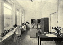 Work 01